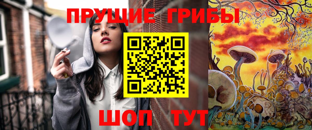 Псилоцибиновые грибы Cubensis Чехов
